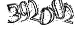 자동등록방지
