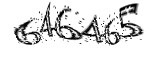 자동등록방지