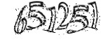 자동등록방지