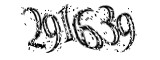 자동등록방지