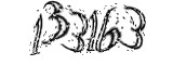 자동등록방지