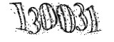 자동등록방지