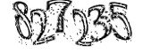 자동등록방지