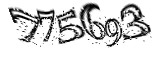 자동등록방지