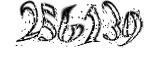자동등록방지