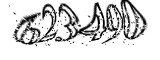 자동등록방지