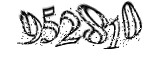 자동등록방지