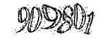 자동등록방지