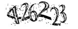 자동등록방지