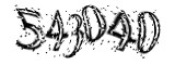 자동등록방지