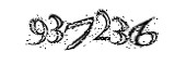 자동등록방지