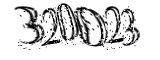 자동등록방지