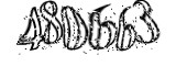 자동등록방지