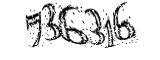 자동등록방지
