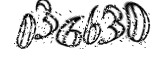 자동등록방지