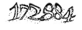 자동등록방지