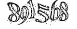 자동등록방지