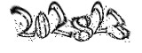 자동등록방지