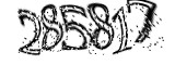 자동등록방지