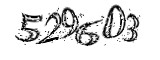 자동등록방지