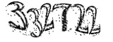 자동등록방지