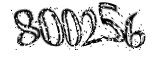 자동등록방지