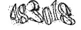 자동등록방지