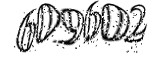 자동등록방지