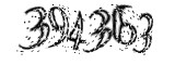 자동등록방지