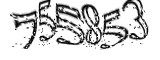 자동등록방지