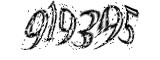 자동등록방지