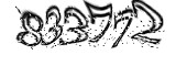 자동등록방지