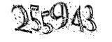 자동등록방지