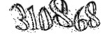 자동등록방지