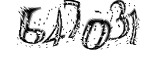 자동등록방지