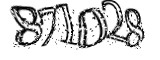 자동등록방지