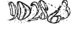 자동등록방지