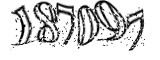 자동등록방지