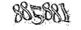 자동등록방지