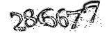자동등록방지
