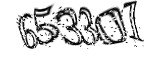 자동등록방지