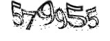자동등록방지