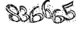 자동등록방지