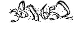 자동등록방지