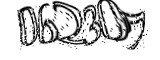 자동등록방지