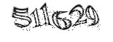 자동등록방지